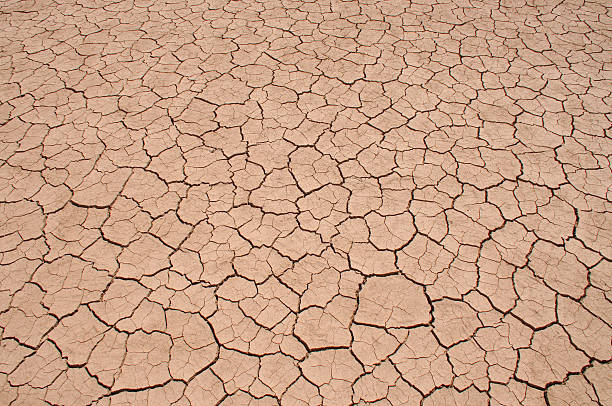 incrinato argilla in un bellissimo motivo - dirtroad foto e immagini stock