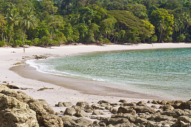istock Morning bathers on Playa Manuel Antonio 167220797