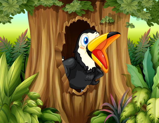 ptak drzewa hollow - hornbill computer graphic multi colored nature stock illustrations