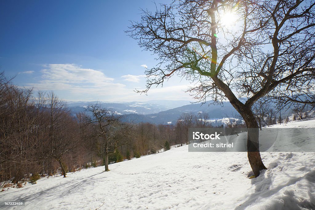 Piękny słoneczny zimowy zdjęcie w góry - Zbiór zdjęć royalty-free (Bez ludzi)