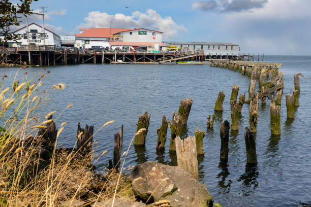 pier 38 i 39 business w astorii - astoria oregon zdjęcia i obrazy z banku zdjęć