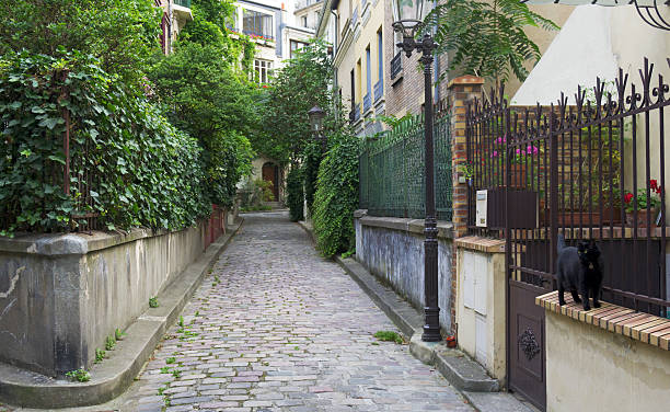 istock Old street in Paris 167223206