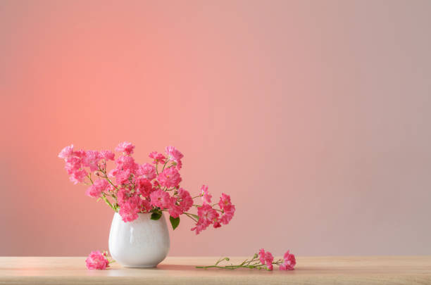 istock pink roses in ceramic vase on light red background 1672234705
