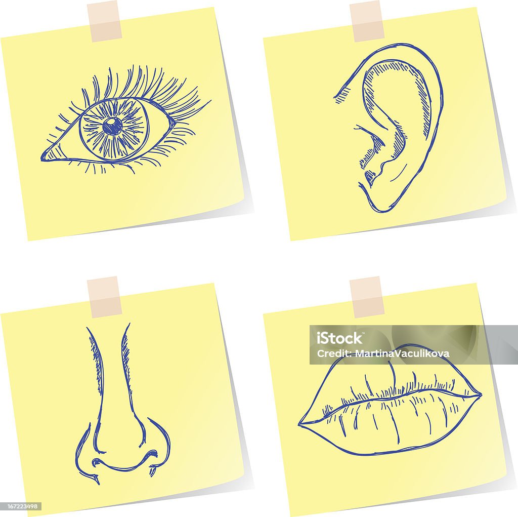 감각을 소묘 - 로열티 프리 감각 지각 벡터 아트