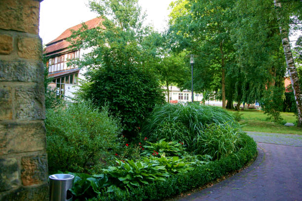 istock A park with green bushes 1672237458