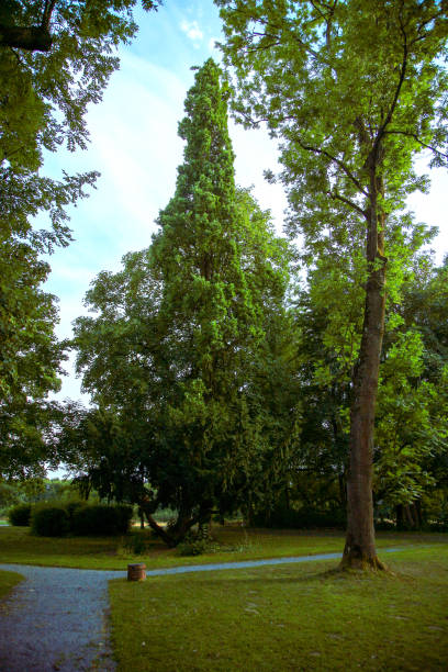 istock Park facility with sidewalk in autumn 1672238504