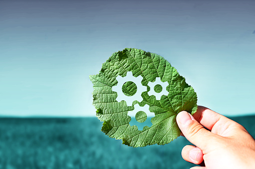 symbol of gears on green leaf sustainable manufacturing, processes, technologies, concepts