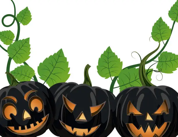 Vector illustration of Black Pumpkin Halloween Background Frame