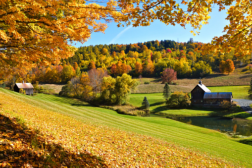 Autumn countryside with frame of colorful leaves and rustic wooden barns near Woodstock, Vermont, USA