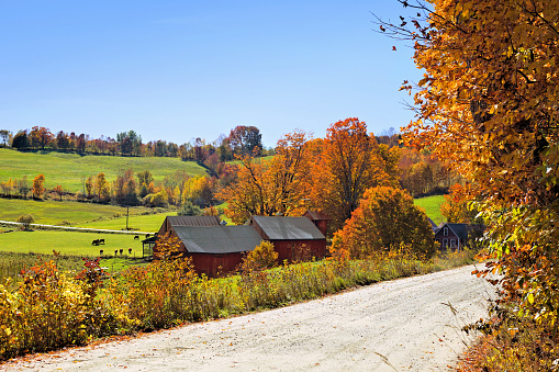 Autumn countryside with rustic red wooden barns and colorful fall leaves near Woodstock, Vermont, USA