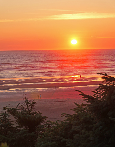 The setting sun plays with the images on this late summer day near the bach at Seabrook, Washington.