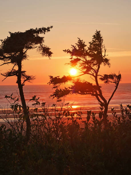 istock Seabrook, Washinton Coast 1672256790