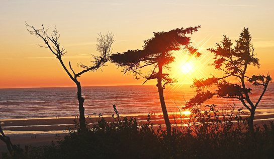 The setting sun plays with the images on this late summer day near the bach at Seabrook, Washington.