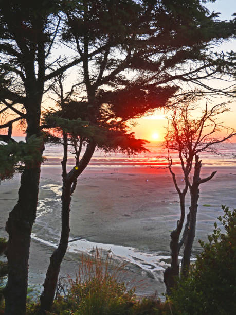 istock Seabrook, Washinton Coast 1672256824