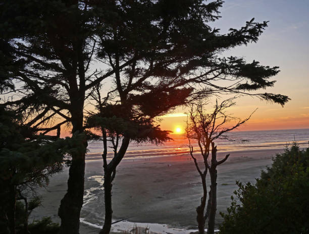 istock Seabrook, Washinton Coast 1672256826