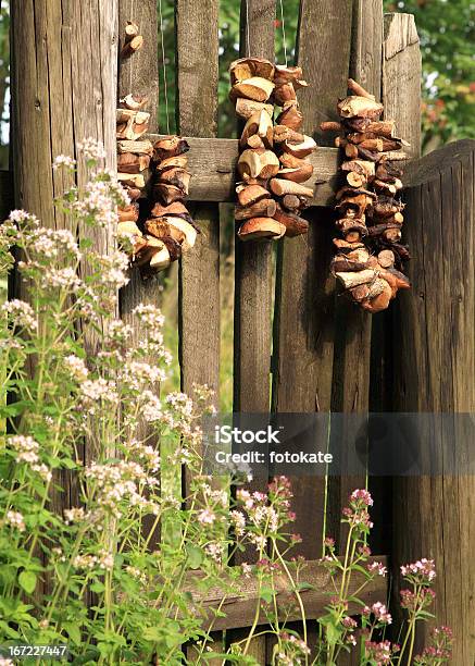 버섯 추절 수확하다 0명에 대한 스톡 사진 및 기타 이미지 - 0명, Boletus, 가을