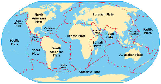 Map of the principal tectonic plates, 16 major pieces of the Earth Map of the principal tectonic plates of the Earth. The sixteen major pieces of crust and uppermost mantle of the Earth, called the  lithosphere, and consisting of oceanic and continental crust. Vector landmass stock illustrations