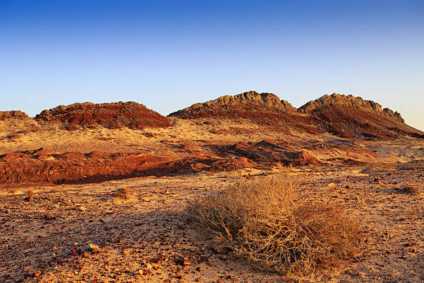 istock Beautiful colored rocks in the sand dunes 167227864