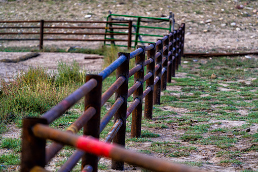 Steel Fence and Gate in Rural Ranch Setting - Fence for livestock management.