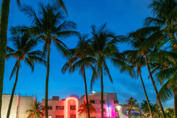 istock Night sky and palm trees over Miami Beach at night, Florida. 1672284404