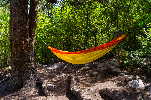 Empty Hammock Hanging in Tree Creekside - Relaxing and tranquil setting with colorful hammock hanging from two large trees.
