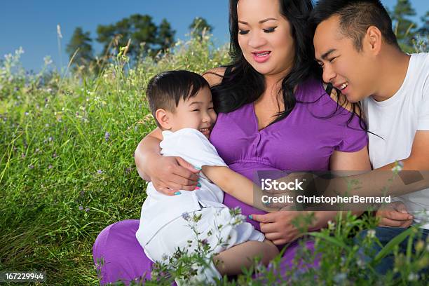 Sorrir Asiático Retrato De Família No Campo - Fotografias de stock e mais imagens de Etnia Vietnamita - Etnia Vietnamita, Família biparental, 2-3 Anos