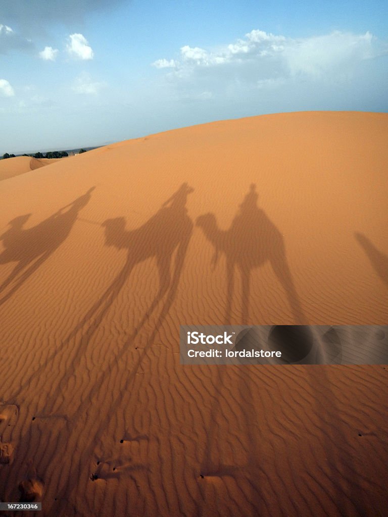 Ombra con il cammello nel deserto cielo blu - Foto stock royalty-free di Area selvatica