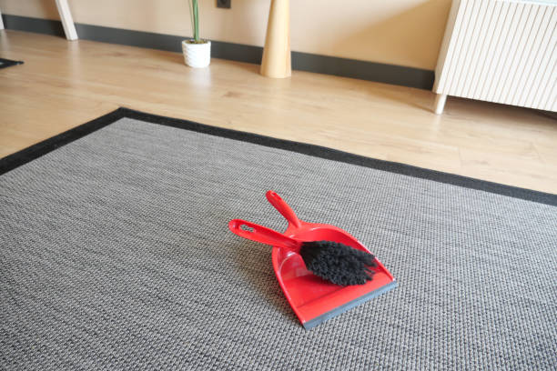 istock floor dust with dust pan close up , 1672308911