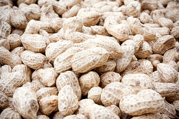 des cacahuètes - peanut legume textured effect fat photos et images de collection