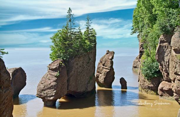 istock Hopewell Rocks at High Tide 1672326206