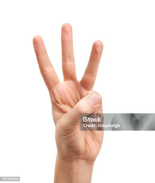 The Letter W Using American Sign Language Stock Photo - Download Image Now - Letter W, Alphabet, American Sign Language