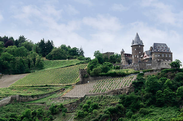 istock Burg (Castle) Stahleck, near Bacharach, Germany 167233268