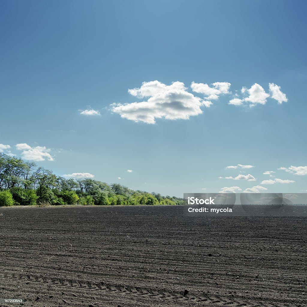 Negro campo en nublado cielo azul - Foto de stock de Agricultura libre de derechos