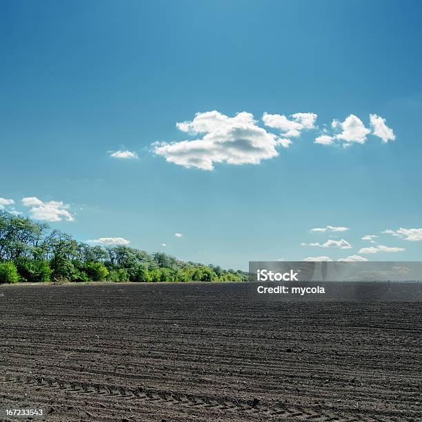 Negro Campo En Nublado Cielo Azul Foto de stock y más banco de imágenes de Agricultura - Agricultura, Aire libre, Ajardinado