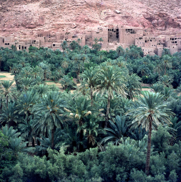 antiguo pueblo bereber en las montañas del atlas - riff fotografías e imágenes de stock