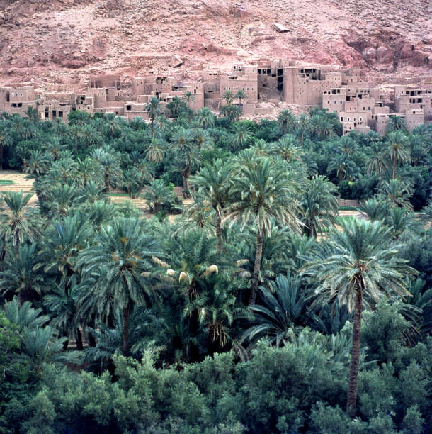 vieux village berbère dans les montagnes de l’atlas - moroccan culture atlas mountains marrakech morocco photos et images de collection