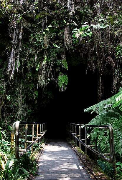 istock Entrance of the deep 167234780