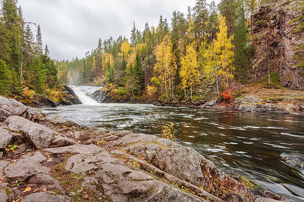 Flowing Lapland mountain river in autumn stock photo