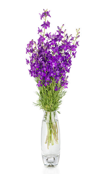 istock Cornflowers flowers in vase, isolated on white 167234886