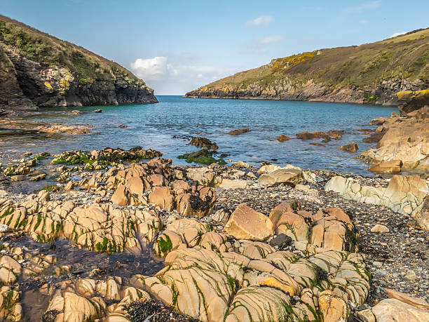 port quin, cornwall - english quin fotografías e imágenes de stock