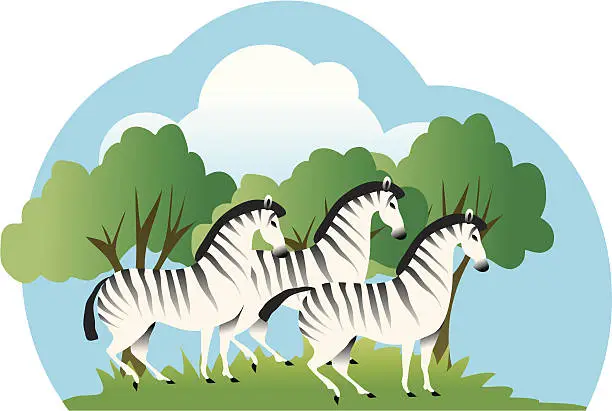 Vector illustration of Zebras