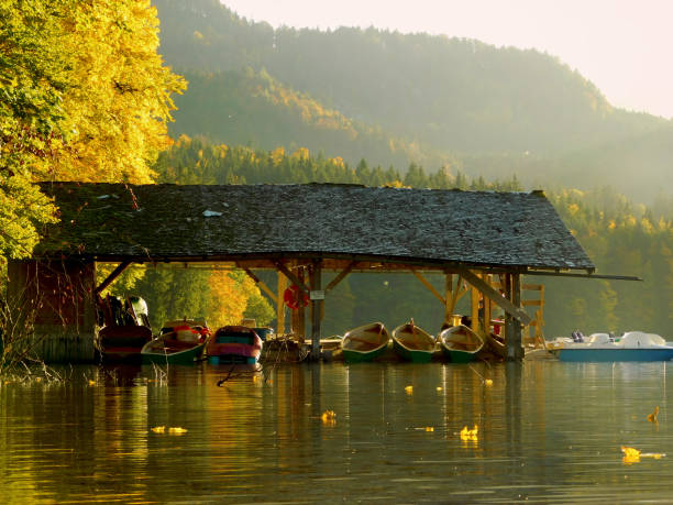 belo dia de outono em alpsee, perto do castelo de neuschwanstein, famoso marco de conto de fadas bávaro - englischer garten - fotografias e filmes do acervo