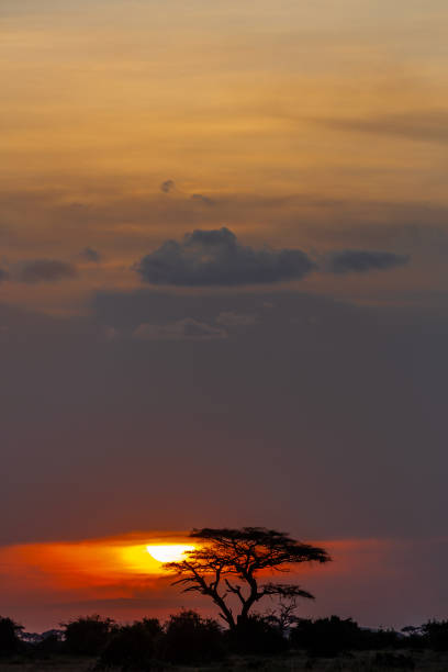 istock Sunset at Amboseli National Park 1672384264