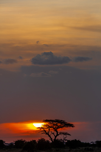 Sunset at Amboseli National Park