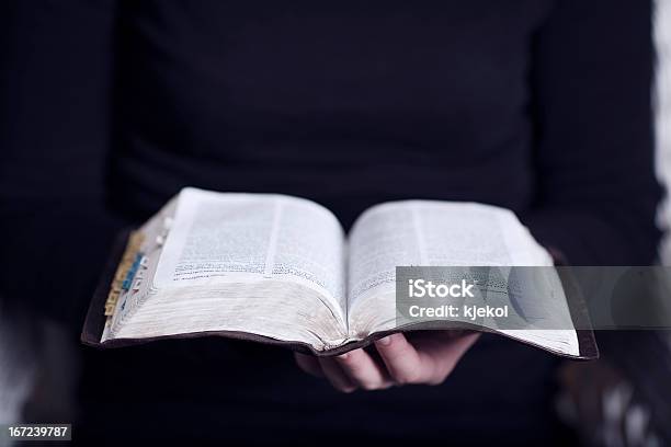 Reading The Bible Stock Photo - Download Image Now - Adult, Bible, Book