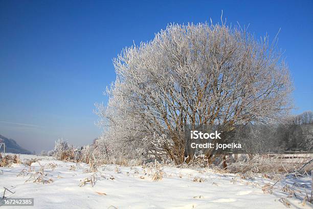 Frio Dia De Inverno - Fotografias de stock e mais imagens de Ao Ar Livre - Ao Ar Livre, Azul, Branco