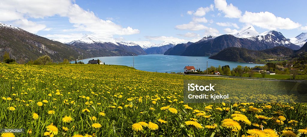 Fjord norvégien à du Sunnmore - Photo de Norvège libre de droits