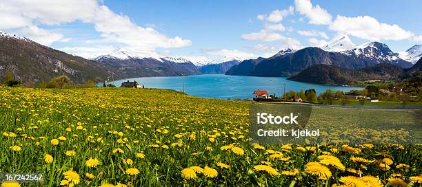 Fiorde Norueguês Em Sunnmore - Fotografias de stock e mais imagens de Noruega - Noruega, Primavera - Estação do ano, Alesund