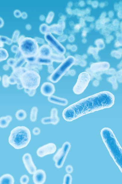 istock Enterobacteriaceae, gram-negative rod-shaped bacteria, part of intestinal microbiome and causative agents of different infections, 3D rendering. Escherichia coli, Klebsiella, Enterobacter and other 1672445705