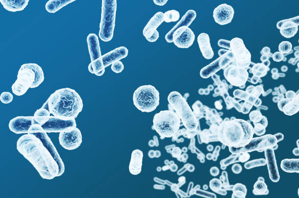 istock Enterobacteriaceae, gram-negative rod-shaped bacteria, part of intestinal microbiome and causative agents of different infections, 3D rendering. Escherichia coli, Klebsiella, Enterobacter and other 1672446831